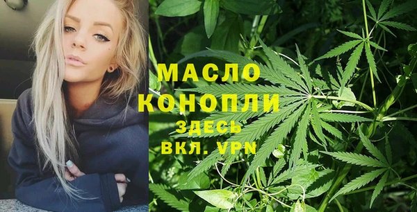 винт Пересвет