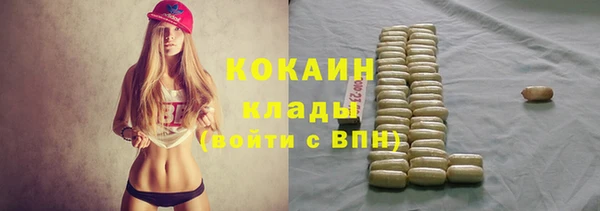 соль ск Алексин