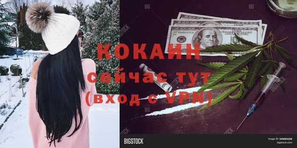 соль ск Алексин