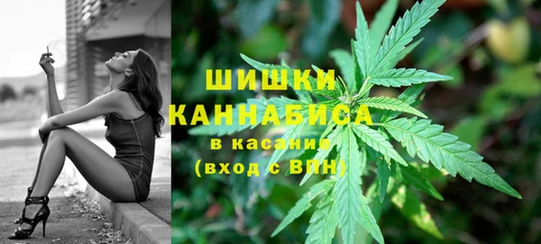 соль ск Алексин