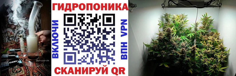 продажа наркотиков  ссылка на мегу вход  Конопля OG Kush  Минусинск 